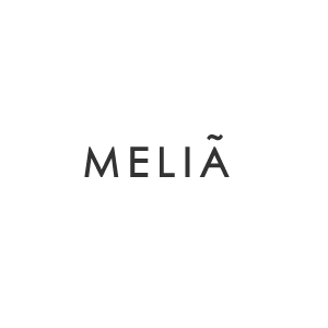 Melia Hotel